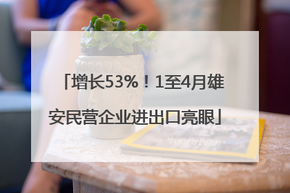 增长53%！1至4月雄安民营企业进出口亮眼