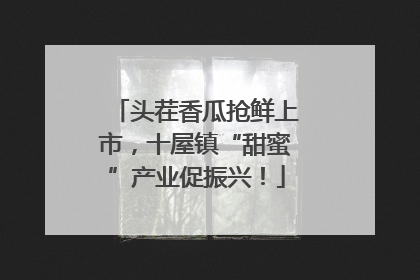 头茬香瓜抢鲜上市，十屋镇“甜蜜”产业促振兴！