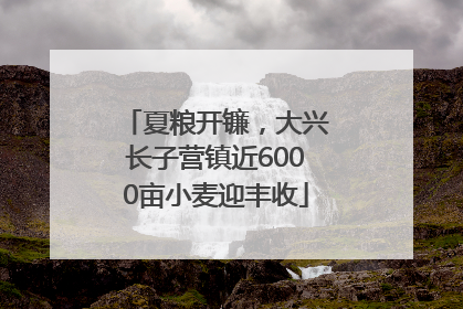 夏粮开镰，大兴长子营镇近6000亩小麦迎丰收