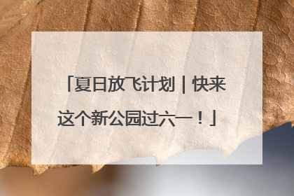 夏日放飞计划｜快来这个新公园过六一！