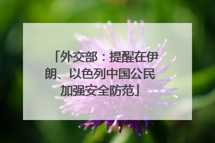 外交部：提醒在伊朗、以色列中国公民加强安全防范