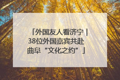 外国友人看济宁｜38位外国嘉宾共赴曲阜“文化之约”