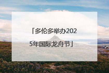 多伦多举办2025年国际龙舟节