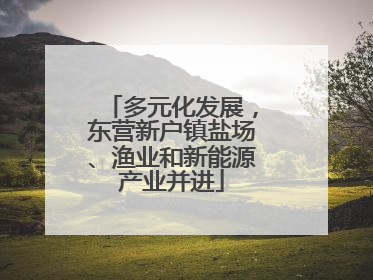 多元化发展，东营新户镇盐场、渔业和新能源产业并进