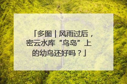多图｜风雨过后，密云水库“鸟岛”上的幼鸟还好吗？