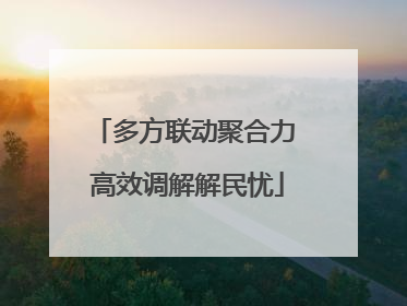 多方联动聚合力 高效调解解民忧