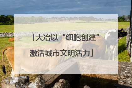 大冶以“细胞创建”激活城市文明活力