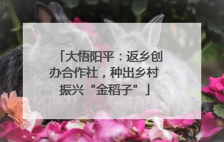 大悟阳平：返乡创办合作社，种出乡村振兴“金稻子”