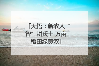 大悟：新农人“智”耕沃土 万亩稻田绿意浓