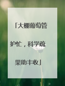 大棚葡萄管护忙，科学疏果助丰收