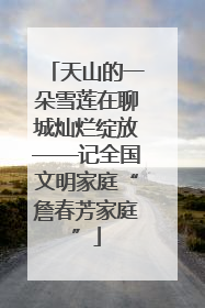 天山的一朵雪莲在聊城灿烂绽放——记全国文明家庭“詹春芳家庭”