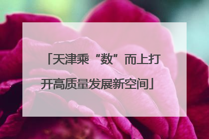 天津乘“数”而上打开高质量发展新空间