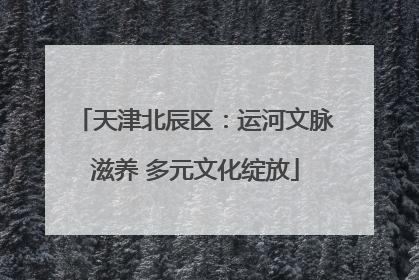 天津北辰区：运河文脉滋养 多元文化绽放