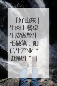 好山东｜牛肉上餐桌牛皮做靴牛毛做笔，阳信牛产业“超级牛”