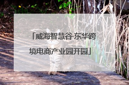 威海智慧谷·东华跨境电商产业园开园
