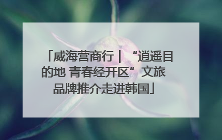威海营商行｜“逍遥目的地 青春经开区”文旅品牌推介走进韩国