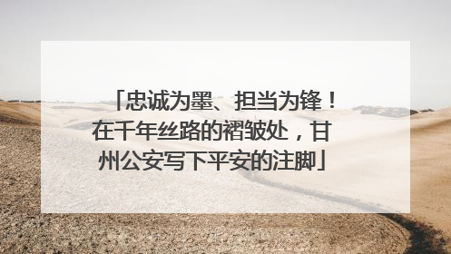 忠诚为墨、担当为锋！在千年丝路的褶皱处，甘州公安写下平安的注脚