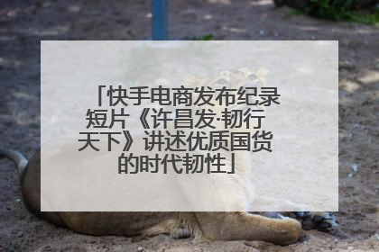 快手电商发布纪录短片《许昌发·韧行天下》讲述优质国货的时代韧性
