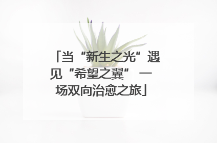当“新生之光”遇见“希望之翼” 一场双向治愈之旅