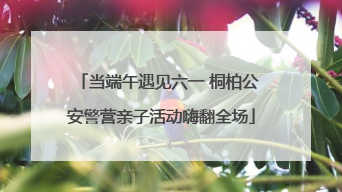 当端午遇见六一 桐柏公安警营亲子活动嗨翻全场