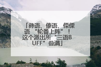 彝语、傣语、傈僳语 “轮番上阵”！这个派出所“三语BUFF”叠满
