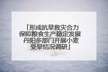 形成抗旱救灾合力 保障粮食生产稳定发展 丹阳多部门开展小麦受旱情况调研