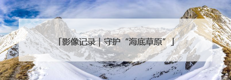 影像记录｜守护“海底草原”