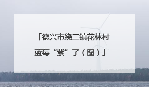 德兴市绕二镇花林村蓝莓“紫”了（图）