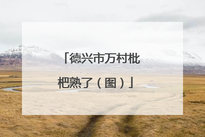 德兴市万村枇杷熟了（图）