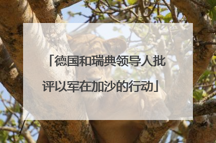 德国和瑞典领导人批评以军在加沙的行动