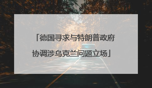 德国寻求与特朗普政府协调涉乌克兰问题立场