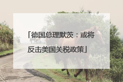德国总理默茨：或将反击美国关税政策