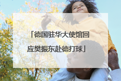 德国驻华大使馆回应樊振东赴德打球