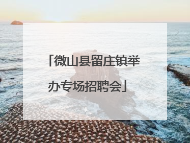 微山县留庄镇举办专场招聘会