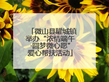 微山县驩城镇举办“浓情端午·圆梦微心愿”爱心帮扶活动