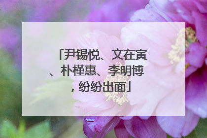 尹锡悦、文在寅、朴槿惠、李明博，纷纷出面