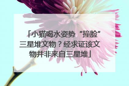 小猫喝水姿势“撞脸”三星堆文物？经求证该文物并非来自三星堆