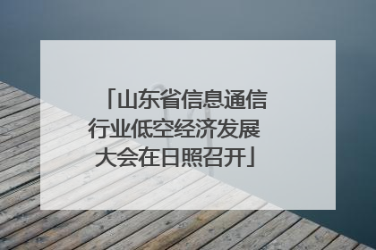 山东省信息通信行业低空经济发展大会在日照召开