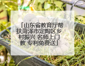 山东省教育厅帮扶菏泽市定陶区乡村振兴 名师上门教 专利免费送