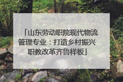 山东劳动职院现代物流管理专业：打造乡村振兴职教改革齐鲁样板