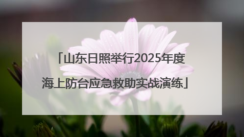 山东日照举行2025年度海上防台应急救助实战演练
