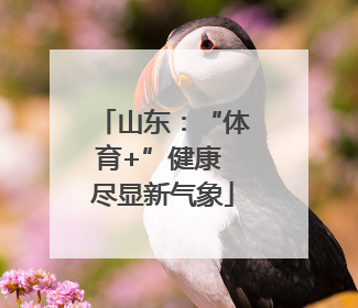 山东：“体育+”健康 尽显新气象
