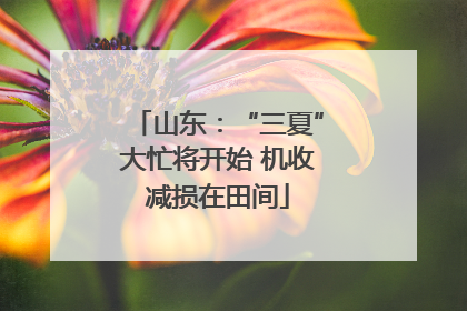 山东：“三夏”大忙将开始 机收减损在田间