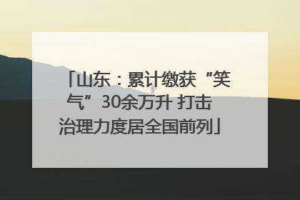 山东：累计缴获“笑气”30余万升 打击治理力度居全国前列