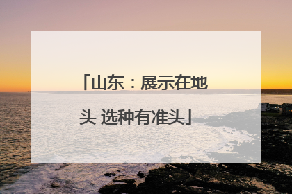 山东：展示在地头 选种有准头