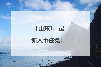 山东1市最新人事任免