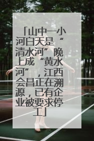 山中一小河白天是“清水河”晚上成“黄水河”，江西会昌正在溯源，已有企业被要求停工