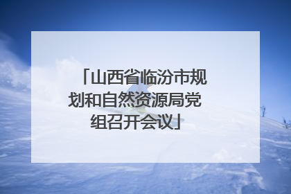 山西省临汾市规划和自然资源局党组召开会议