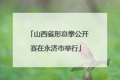 山西省形意拳公开赛在永济市举行