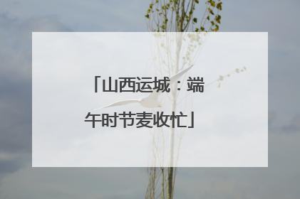山西运城：端午时节麦收忙